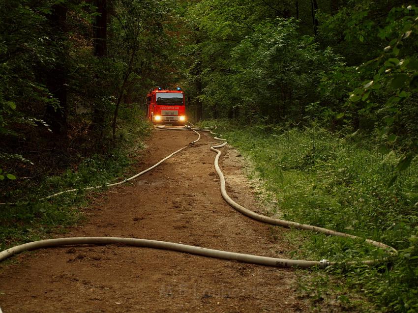 Waldbrand Bergisch Gladbach Bensberg P083.JPG